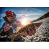 imageBerkley CWIS26ML Cherrywood Combo ML Rod and Reel 26Inch
