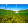 imageBerkley Choppo Fishing Hard Bait3 Pack  Assorted