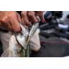 imageBerkley Choppo Fishing Hard BaitHD Bluegill