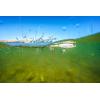 imageBerkley Choppo Fishing Hard BaitHD Rainbow Trout