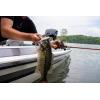 imageBerkley Choppo Fishing Hard BaitHall of Fame Variety Kit