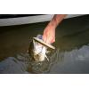 imageBerkley Choppo Fishing Hard BaitHall of Fame Variety Kit