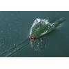 imageBerkley Choppo Fishing Hard BaitHall of Fame Variety Kit