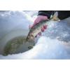 imageBerkley Fishing Gear Ice Lures