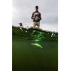imageBerkley Flicker Shad Fishing Hard BaitChartreuse Pearl