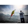 imageBerkley Flicker Shad Fishing Hard BaitChartreuse Pearl