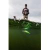 imageBerkley Flicker Shad Fishing Hard BaitPrime Time