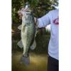 imageBerkley PowerBait MaxScent FishingBlack