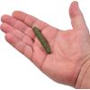 imageBerkley PowerBait MaxScent Lil GeneralBaby Bass