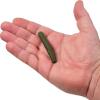 imageBerkley PowerBait MaxScent Lil GeneralWatermelon Candy