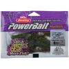 imageBerkley PowerBait MaxScent Lil Super Trooper Fishing Soft BaitGreen PumpkinWatermelon