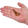 imageBerkley PowerBait MaxScent Lil Super Trooper Fishing Soft BaitWatermelon CopperOrange wRed