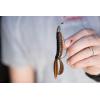 imageBerkley PowerBait Pit Boss Fishing Soft BaitWatermelon