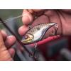 imageBerkley Warpig Fishing Hard BaitBlood Orange Craw