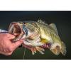 imageBerkley Warpig Fishing Hard BaitBlood Orange Craw
