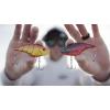 imageBerkley Warpig Fishing Hard BaitBlood Orange Craw