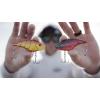 imageBerkley Warpig Fishing Hard BaitYellow Perch