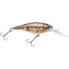 HD Blacknose Dace