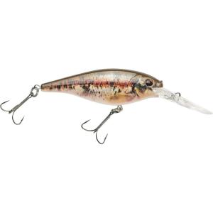 imageBerkley Flicker Shad Fishing Hard BaitHD Blacknose Dace