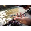 imageBerkley Berkley PowerBait Hollow BellyHD Blueback Herring