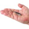 imageBerkley Berkley PowerBait Saltwater Power SwimmerBlack Shad