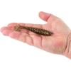 imageBerkley Berkley PowerBait Saltwater Power SwimmerDark Night