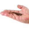 imageBerkley Berkley PowerBait Saltwater Power SwimmerDark Night