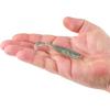 imageBerkley Berkley PowerBait Saltwater Power SwimmerHD Pinfish