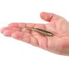 imageBerkley Berkley PowerBait Saltwater Power SwimmerSilver Flash