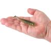 imageBerkley Berkley PowerBait Saltwater Power SwimmerSilver Flash
