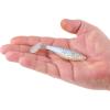 imageBerkley Berkley PowerBait Saltwater The Champ SwimmerChrome Flash