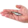 imageBerkley Berkley PowerBait Saltwater The Champ SwimmerHD Pinfish