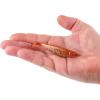 imageBerkley Berkley PowerBait Saltwater The Champ SwimmerNew Penny