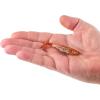 imageBerkley Berkley PowerBait Saltwater The Champ SwimmerNew Penny