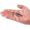 imageBerkley Berkley PowerBait Saltwater The Champ SwimmerSilver Flash
