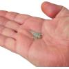 imageBerkley Gulp Alive Stonefly Fishing Soft BaitChive