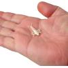 imageBerkley Gulp Alive Stonefly Fishing Soft BaitLuma Glow
