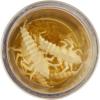 imageBerkley Gulp Alive Stonefly Fishing Soft BaitLuma Glow