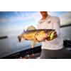 imageBerkley Gulp Minnow Fishing Soft BaitChartreuse Shad