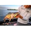 imageBerkley Gulp Minnow Fishing Soft BaitGreen Chartreuse