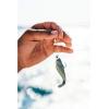 imageBerkley Gulp Pogy Saltwater Fishing Soft Bait Anchovy 3in