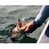 imageBerkley Power Blade Compact Fishing SpinnerbaitsColeslawSilver  Gold