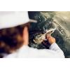 imageBerkley Power Blade Standard Fishing SpinnerbaitsWhite ChartreuseSilver  Gold