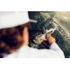 imageBerkley Power Blade Standard Fishing SpinnerbaitsWhiteGold