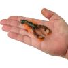 imageBerkley PowerBait Clatter Craw Fishing Soft BaitGreen Pumpkin Orange