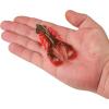 imageBerkley PowerBait Clatter Craw Fishing Soft BaitWatermelon Red