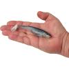 imageBerkley PowerBait Unrigged CullShad Fishing Soft BaitHD Ghost Gizzard