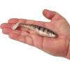imageBerkley PowerBait Unrigged CullShad Fishing Soft BaitHD Yellow Perch