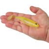 imageBerkley PowerBait Unrigged CullShad Fishing Soft BaitLime Ice