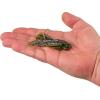 imageBerkley SlobberKnocker Fishing JigBama Bream